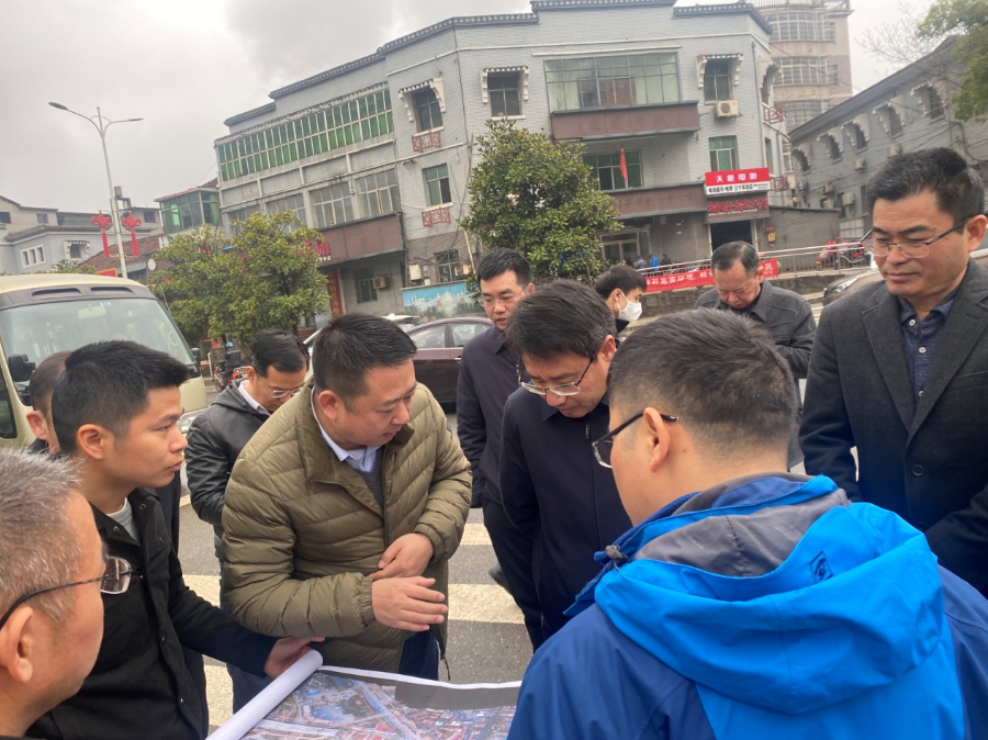 副市长江新洪一行调研洪腾高架项目_w66国际app